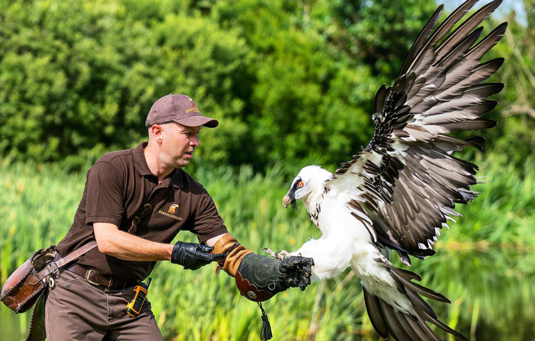 Få rabat på din billet til Ørne Reservatet